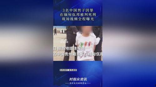 缅甸佤邦爆料视频大全,爆料视频大全背后的真实故事  第3张 缅甸佤邦爆料视频大全,爆料视频大全背后的真实故事  第3张
