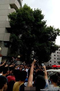 成都体院最新爆料,揭秘校园风云与体育精英养成记  第2张 成都体院最新爆料,揭秘校园风云与体育精英养成记  第2张