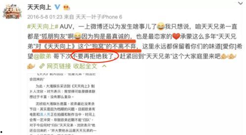 一人一句娱乐圈爆料,明星背后的惊人真相!  第3张 一人一句娱乐圈爆料,明星背后的惊人真相!  第3张