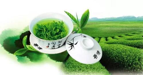 姐弟吃瓜小绿茶免费阅读,小绿茶的免费阅读之旅  第2张 姐弟吃瓜小绿茶免费阅读,小绿茶的免费阅读之旅  第2张