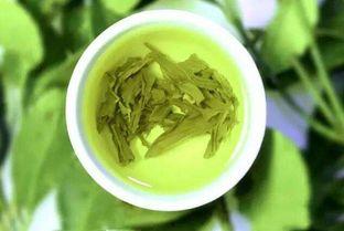 姐弟吃瓜小绿茶免费阅读,小绿茶的免费阅读之旅  第3张 姐弟吃瓜小绿茶免费阅读,小绿茶的免费阅读之旅  第3张