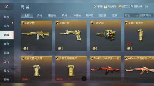 最新爆料的武器有哪些,尖端科技引领未来战争新篇章  第3张 最新爆料的武器有哪些,尖端科技引领未来战争新篇章  第3张