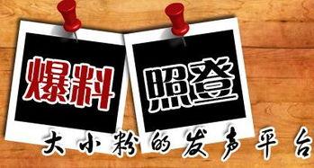 双峰新闻爆料,揭秘双峰县最新热点事件,双峰县双峰镇发生惊人一幕