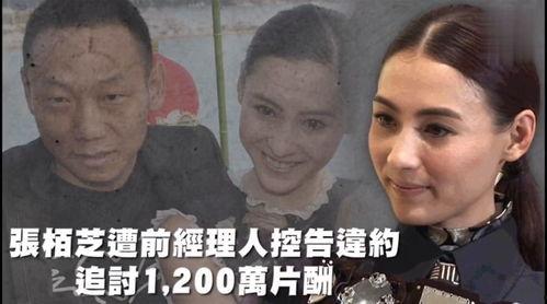 吃瓜娱乐的作品叫什么,揭秘热门吃瓜娱乐作品的幕后故事  第2张 吃瓜娱乐的作品叫什么,揭秘热门吃瓜娱乐作品的幕后故事  第2张