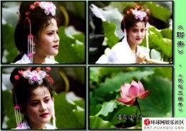 荷花三娘子在线观看,穿越时空的奇幻爱情之旅  第2张 荷花三娘子在线观看,穿越时空的奇幻爱情之旅  第2张
